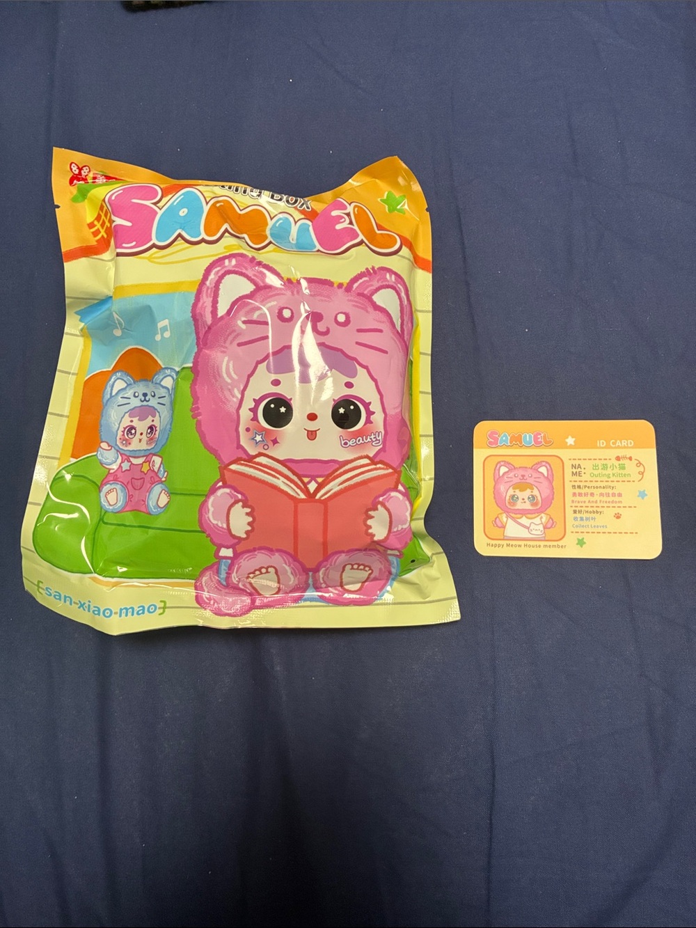 Samuel Blind Box happy meow house